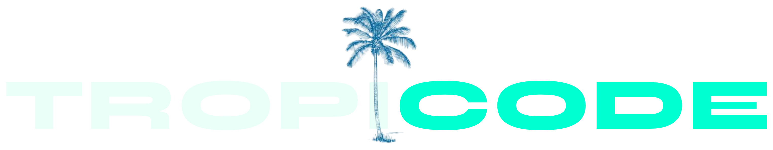 HUB TROPICODE LTD